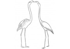 Sticker flamants roses blanc