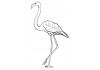 Sticker flamant rose blanc