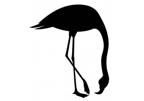 Sticker flamant rose noir