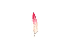 Sticker flamant rose plume