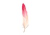 Sticker flamant rose plume