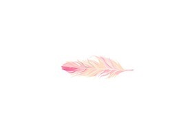 Sticker flamant rose plume