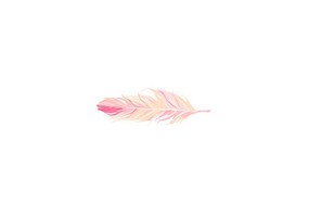 Sticker plume de flamant rose