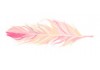 Sticker flamant rose plume