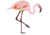 Sticker flamant rose