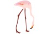 Sticker mural flamant rose XXL