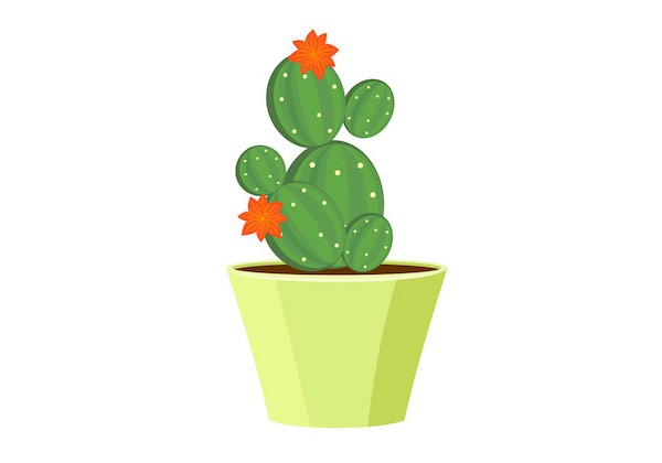 Sticker fleurs cactus