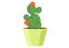 Sticker fleur cactus