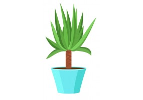 Sticker fleur yucca