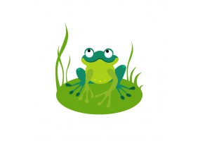 Autocollant grenouille nénuphars