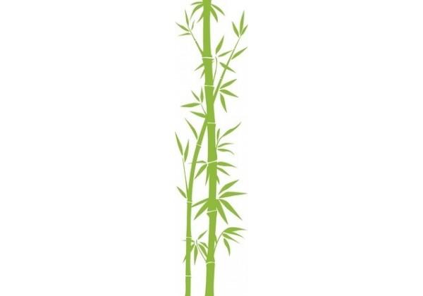 Sticker Bambou