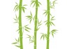 Sticker Bambou