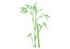 Sticker Bambou decoration