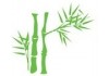 Stickers muraux Bambou