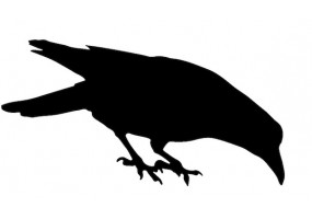 Sticker halloween corbeau