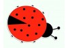 Sticker coccinelle rouge