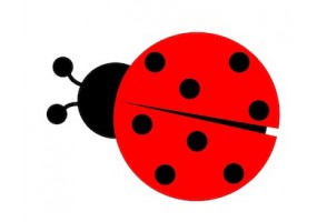 Sticker coccinelle rouge