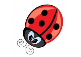 Sticker coccinelle rouge