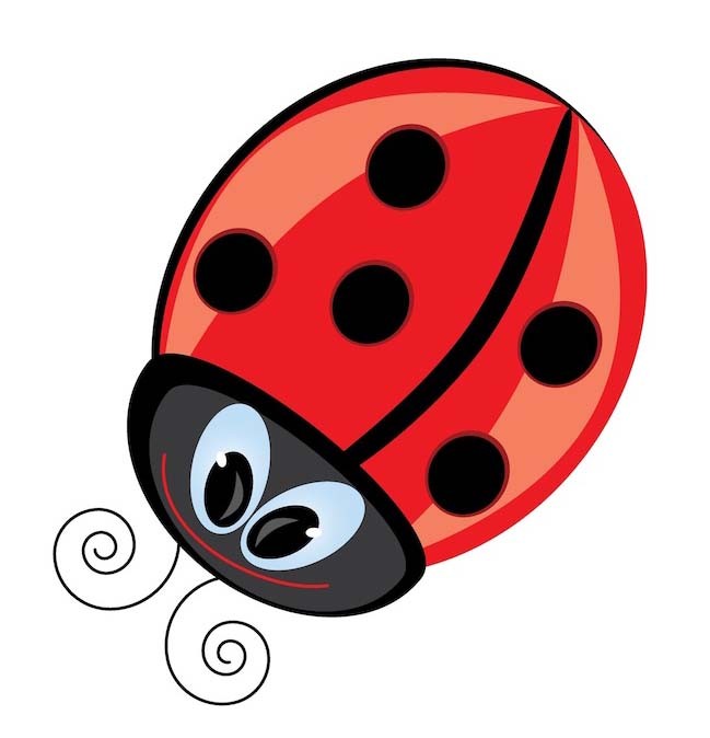 Coccinelle rouge TDI 105 - Voitures
