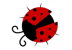 Sticker coccinelle