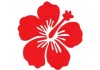 Sticker Fleur Hibiscus