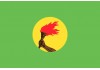 Sticker Drapeau zaire