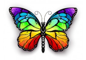 Sticker arc en ciel papillon