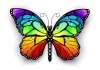 Sticker arc en ciel papillon