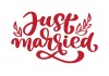 Sticker just married