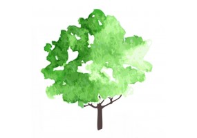 Sticker arbre aquarelle