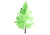 Sticker arbre aquarelle