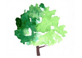Sticker arbre aquarelle