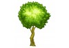 Sticker arbre