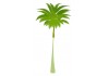 Sticker arbre palmier