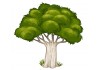 Sticker arbre