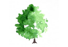 Sticker arbre aquarelle