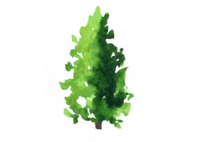 Sticker arbre aquarelle