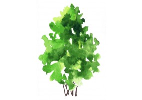 Sticker arbre aquarelle