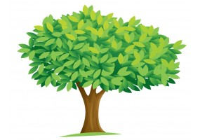 Sticker arbre 