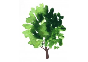 Sticker arbre aquarelle