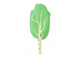 Sticker arbre bouleau