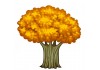 Sticker arbre jaune