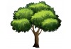 Sticker arbre