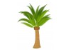 Sticker arbre palmier
