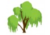 Sticker arbre saule pleureur