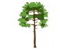 Sticker arbre