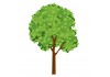 Sticker arbre