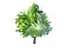 Sticker arbre