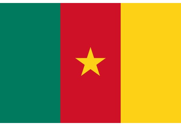 Sticker Drapeau Cameroun