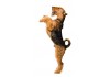 Sticker Chien airedale terrier saute